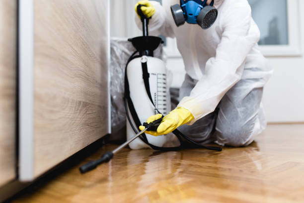 Best Local Pest Control Services  in Colon, MI