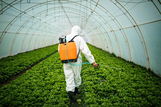 Best Best Pest Control Companies  in Colon, MI