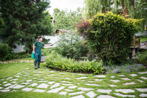 Best Affordable Pest Control Services  in Colon, MI