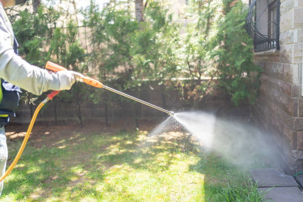 Best Termite Control Services  in Colon, MI