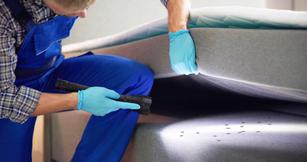 Best Pest Control for Businesses  in Colon, MI