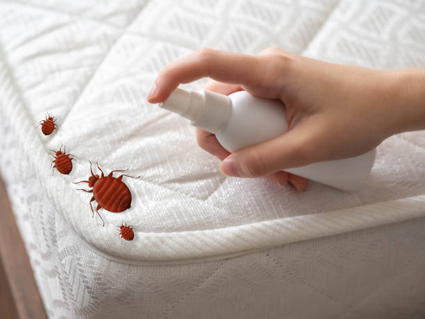 Best Pest Removal Services  in Colon, MI