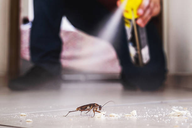Best Commercial Pest Control Services  in Colon, MI