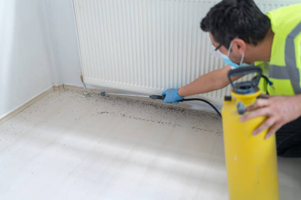 Professional Pest Control in Colon, MI
