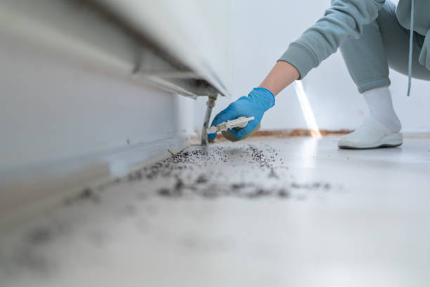 Best Affordable Pest Control Services  in Colon, MI